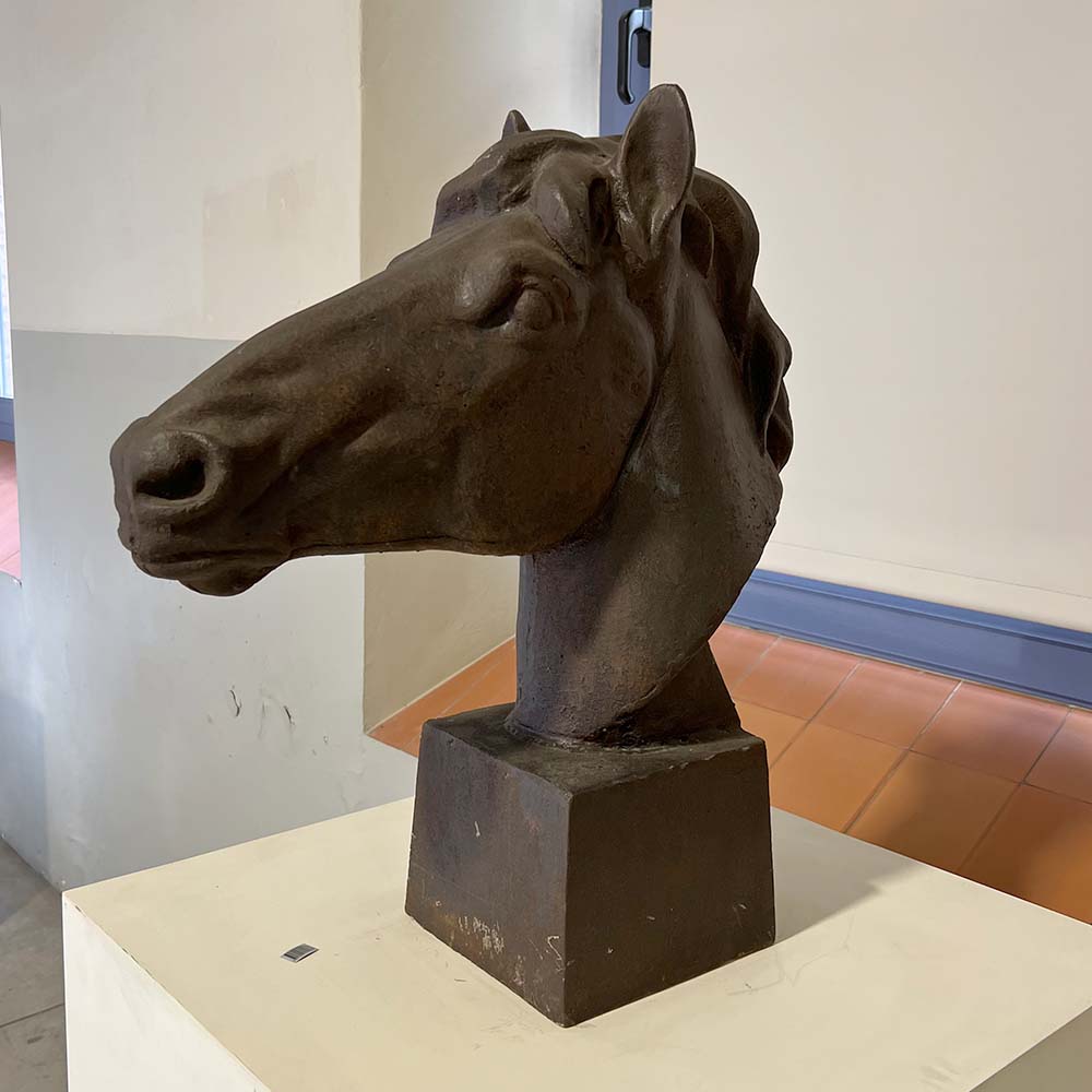 HORSE HEAD